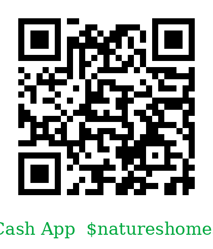 Cash App QR code