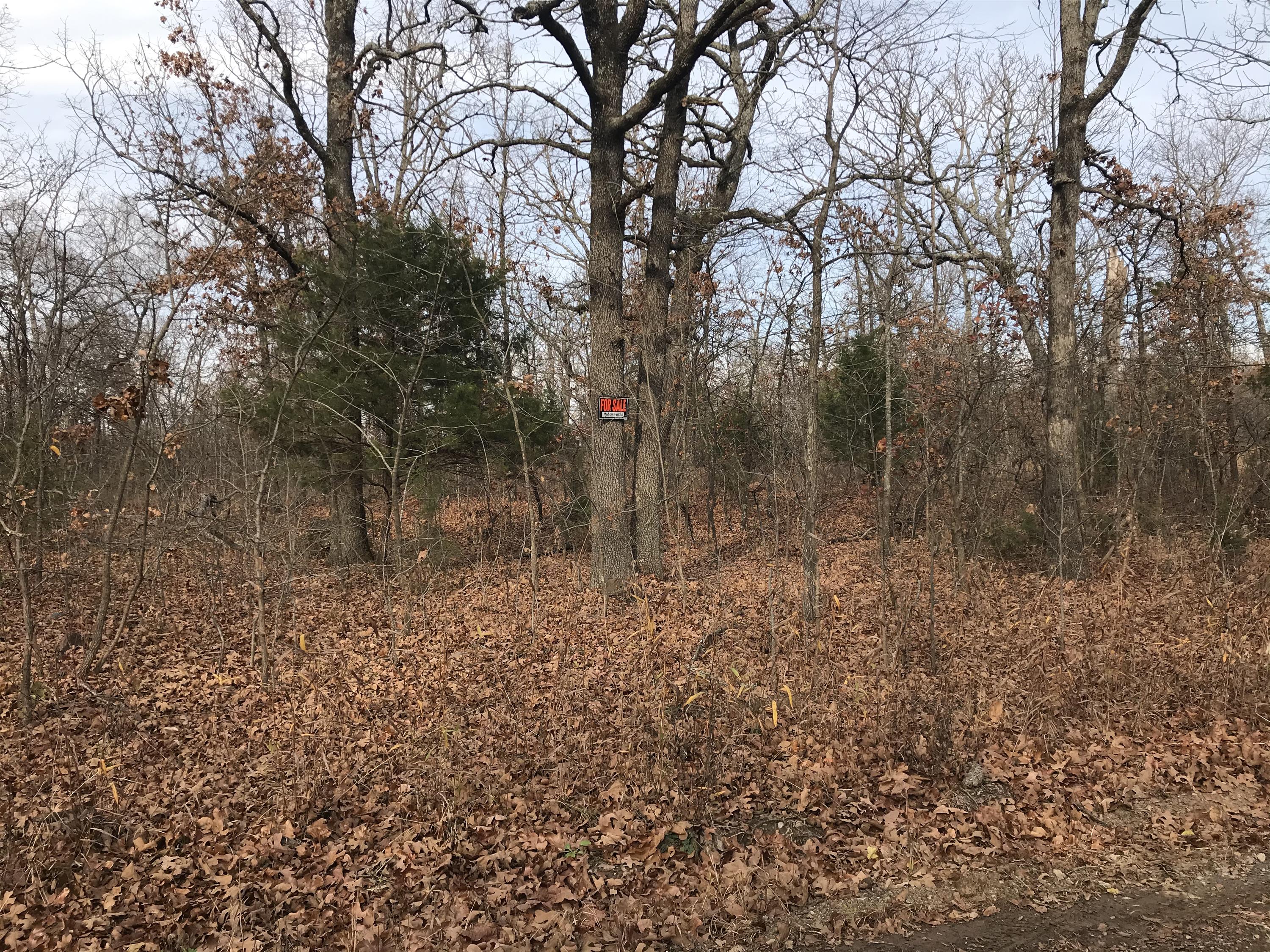 LAKE CREST III LOT LOT 6 BLK 51 34201 - 1